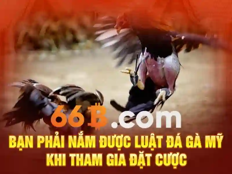 66b là gì và tại sao nó quan trọng