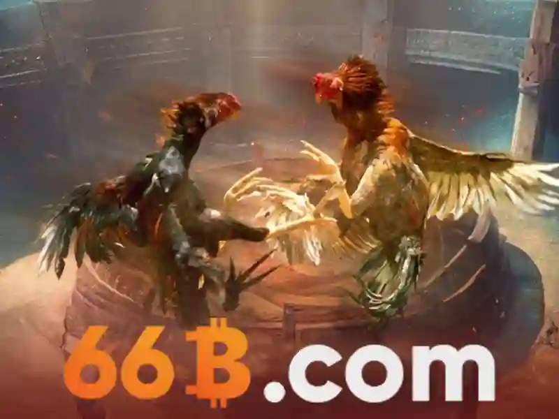 Tổng quan về chuyên mục FAQ giải đáp thắc mắc tại nhà cái 66b