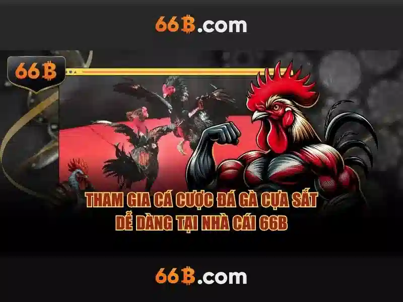 Hiệu suất và ứng dụng