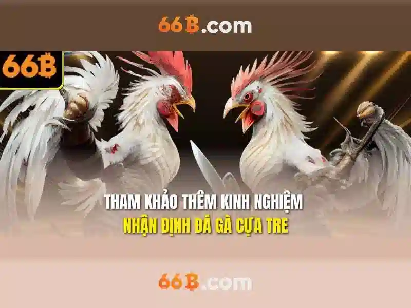 Hiệu suất và ứng dụng