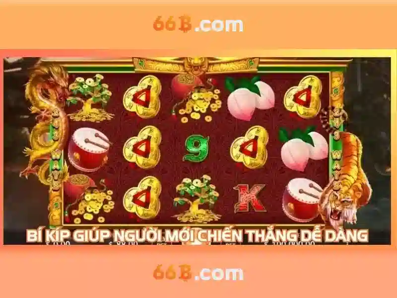 Trải nghiệm người dùng với 66b triều khúc map