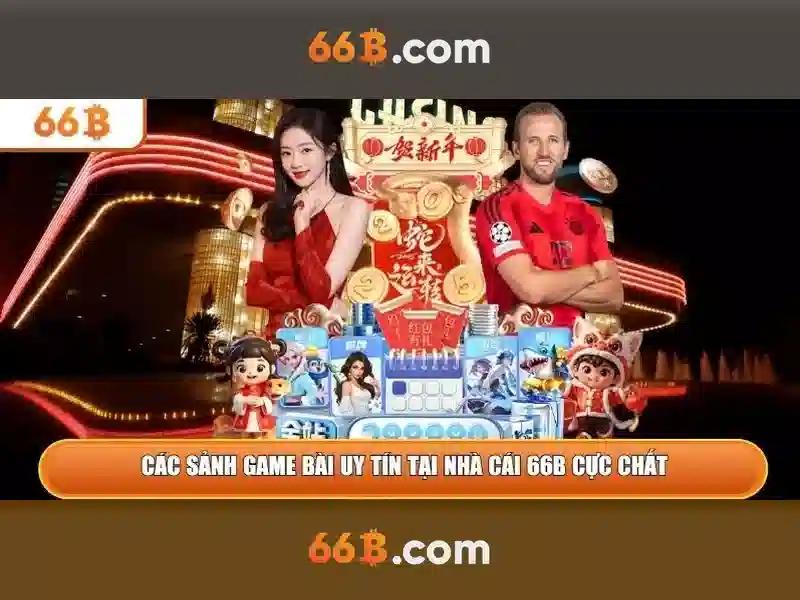66B là gì và vì sao nó được quan tâm