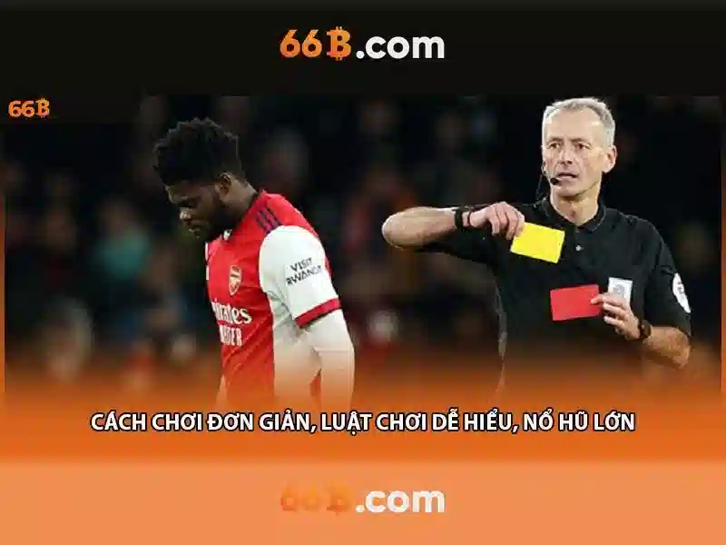 Hiệu suất và phát triển tương lai