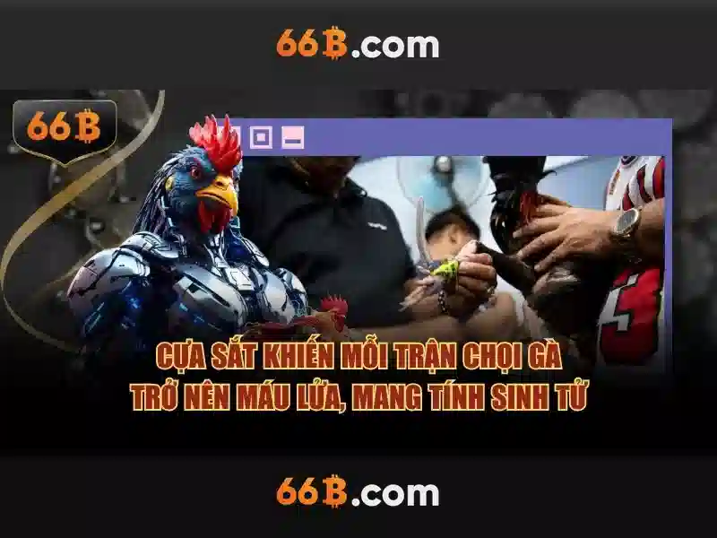 66b là gì