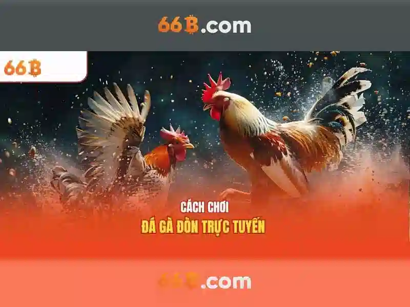 Khả năng và thách thức\n<h>Kết luận về 66b</h>\n<p><span style=