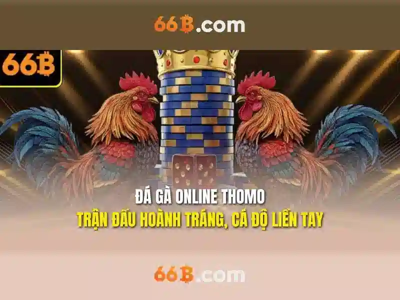 66b là gì?