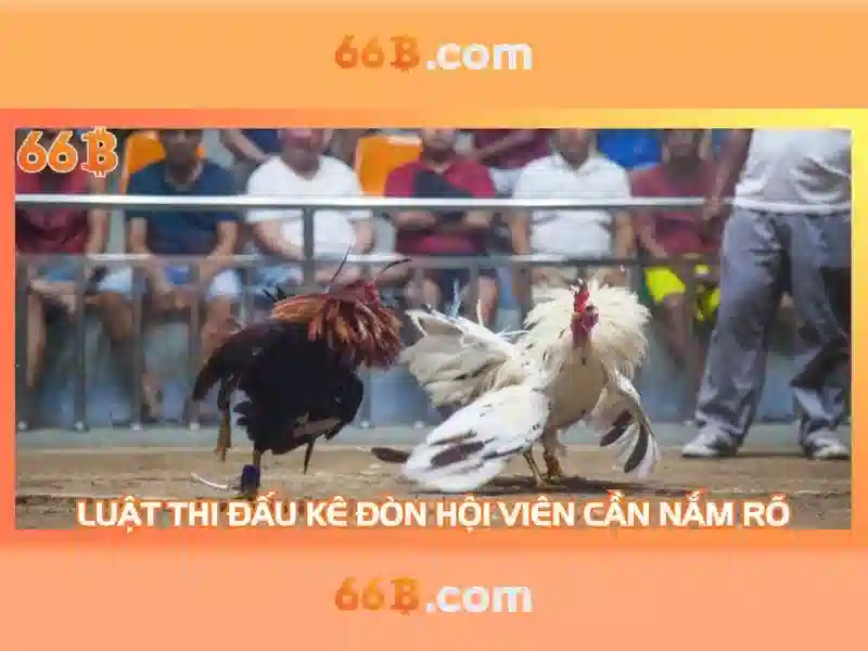 Giới thiệu về 66B