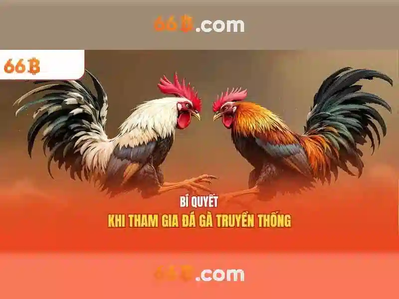 66b là gì