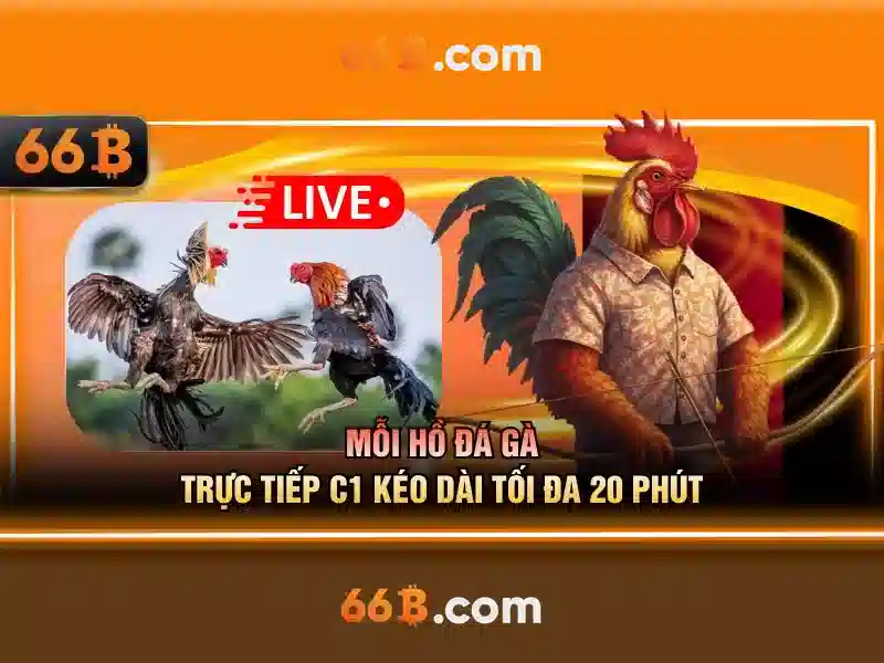 Cách thức hoạt động của 66b