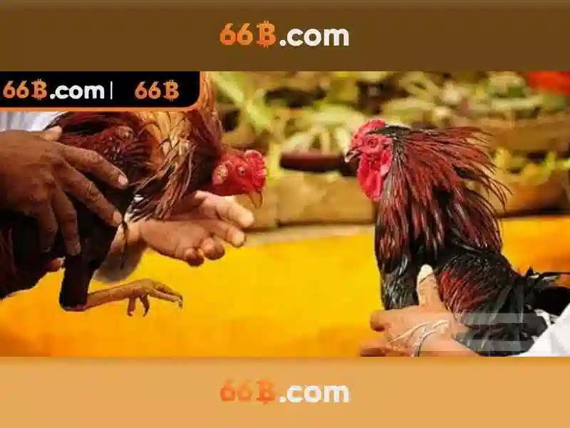 Ứng dụng của 66B trong thực tế