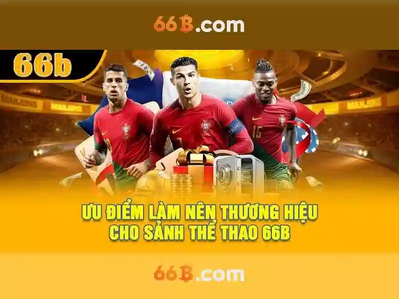 Trải nghiệm tài khoản 66b và phản hồi của cộng đồng
