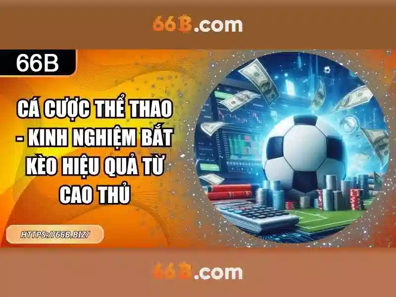 66b mới nhất – Tóm lược chủ đề và giá trị cốt lõi