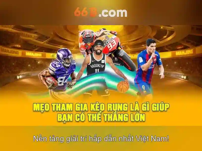 Kiến trúc và tối ưu hóa
