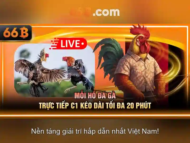 Đặc điểm nổi bật của 66b