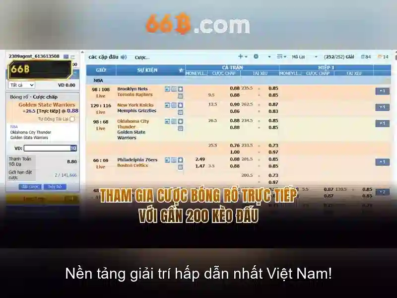 66B là gì?