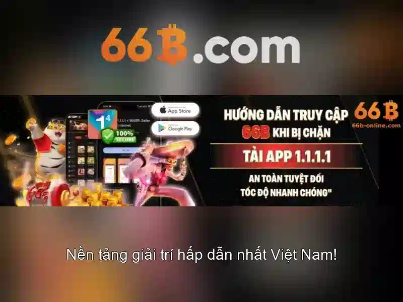 66B là gì