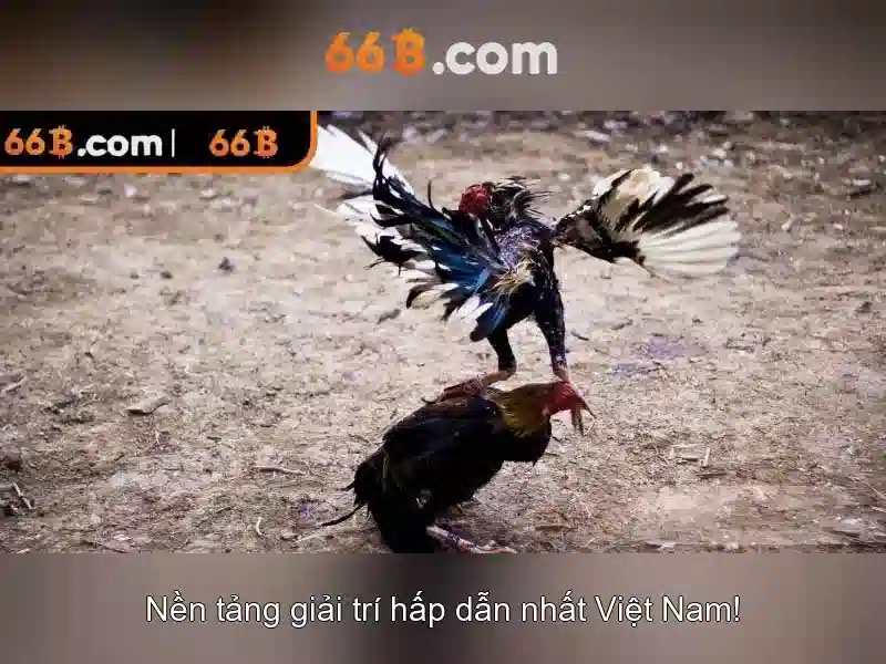 Mẹo chơi bắn cá 3 cây dễ ăn tiền nhà cái