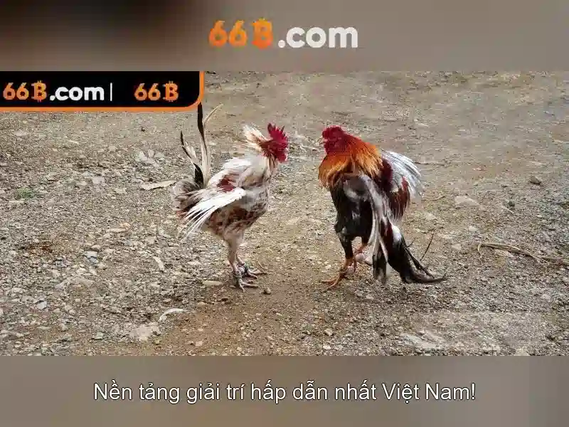 Ứng dụng và hạn chế