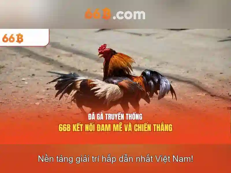 Phân tích so sánh và triển khai