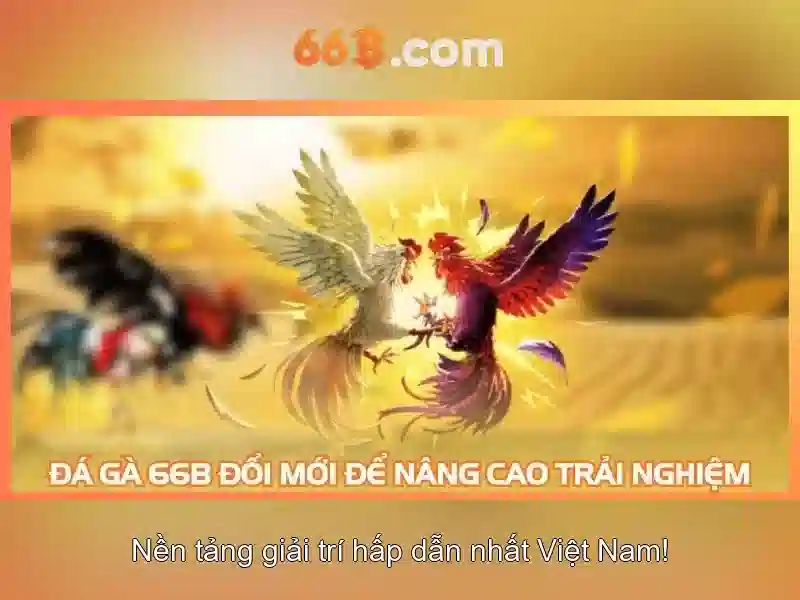 Phân tích tương lai của 66b và thách thức