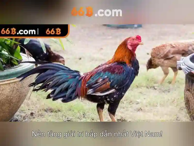 Cách triển khai và ứng dụng của 66B trong thực tế