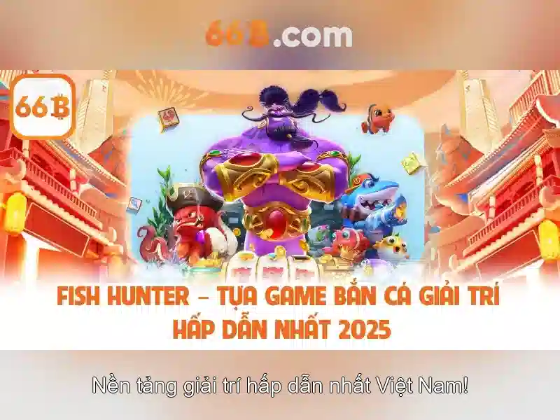 Cấu hình và quy mô