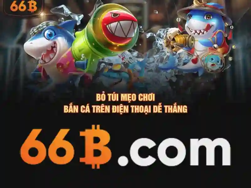 Giới thiệu về 66B