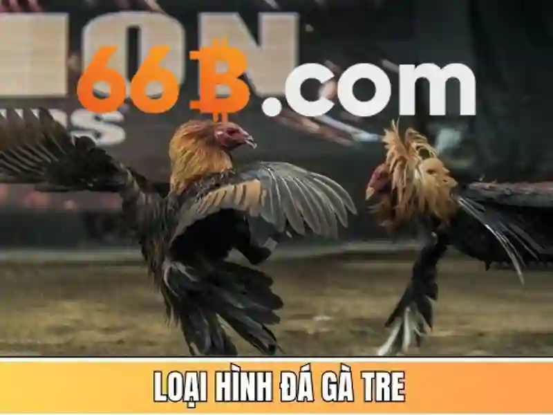 66B là gì?