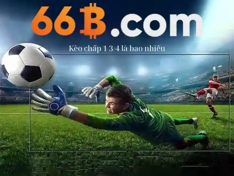 Đặc điểm nổi bật của 66b\n<p><span style=