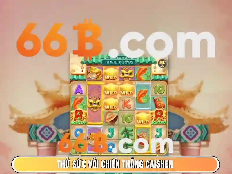 66b trong tương lai và xu hướng