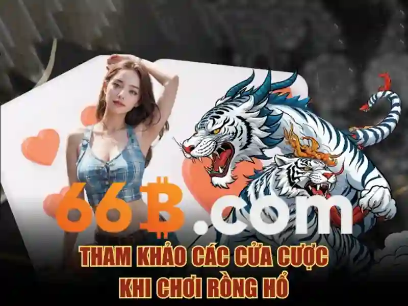 khuyến mãi 66b – Tổng quan chủ đề và giá trị cốt lõi