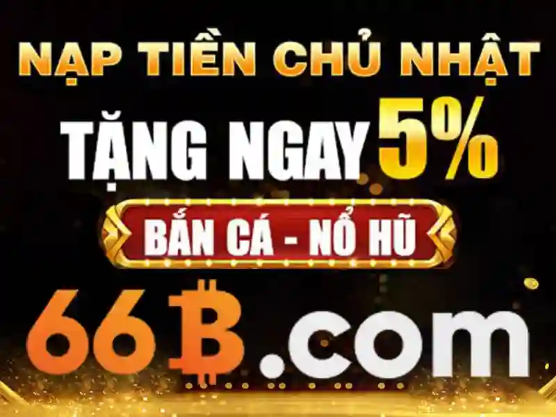 66b hoạt động bao lâu – Trải nghiệm người dùng và phản hồi từ cộng đồng
