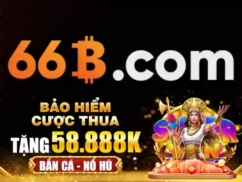 Phản hồi người dùng về đăng ký 66b