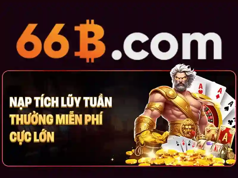 66b nss – Tổng quan chủ đề và giá trị cốt lõi