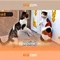 66b: khái niệm, đặc điểm và ứng dụng