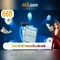 66b: Mô hình AI 66 tỷ tham số và hành trình của nó