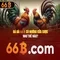 66b: Mô hình trí tuệ nhân tạo quy mô lớn