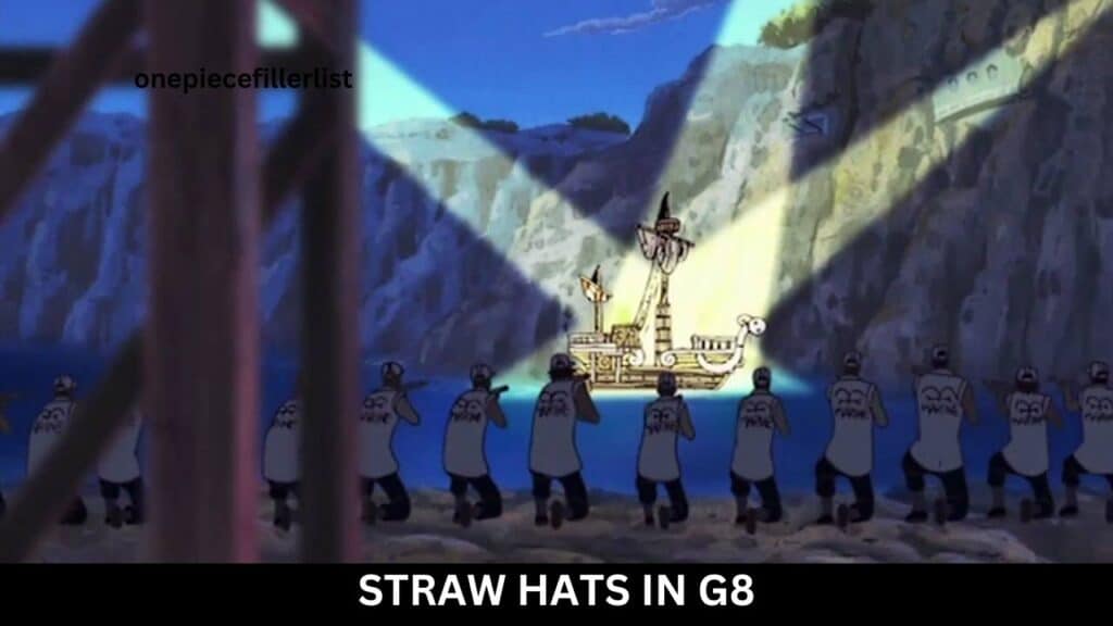 Straw Hats in G8,