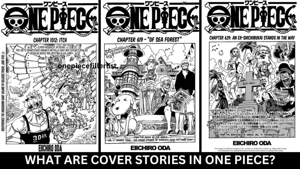 What Are Cover Stories In One Piece?